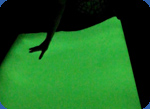 Glow film photo
