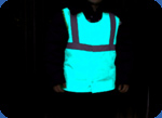 Life vest