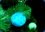 Christmas toys pictures