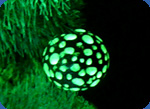 Christmas tree toys photo