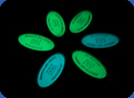 glowing keychain photo