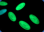glowing keychain photo