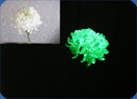 Artificial flowers photo