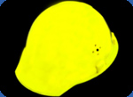 Luminous helmet photo