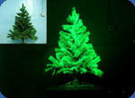 glowing paper photo