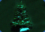 artificial Christmas trees photo