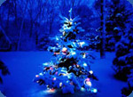 artificial Christmas trees photo