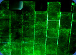 facing tile picture 