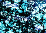 luminescent kitchen table tops photo