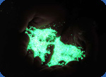 Luminous sand photo