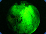 globe picture